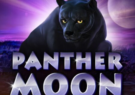 Ігровий автомат Panther moon