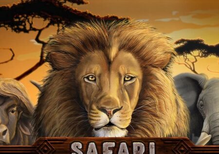 Safari